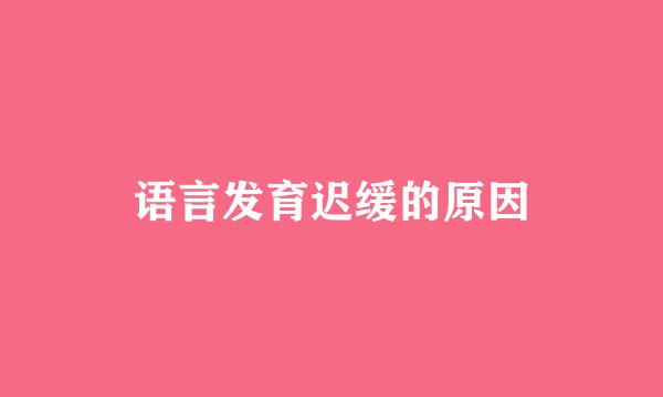 语言发育迟缓的原因