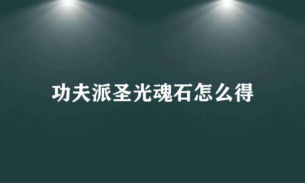 功夫派圣光魂石怎么得