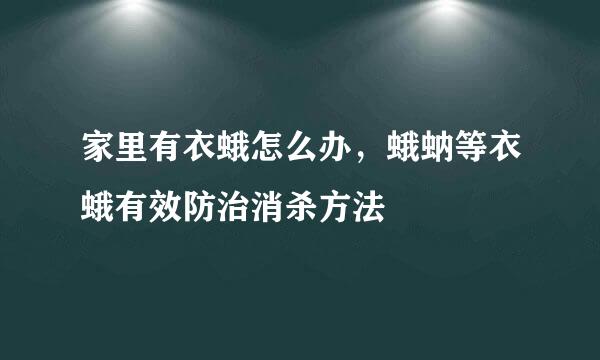 家里有衣蛾怎么办，蛾蚋等衣蛾有效防治消杀方法