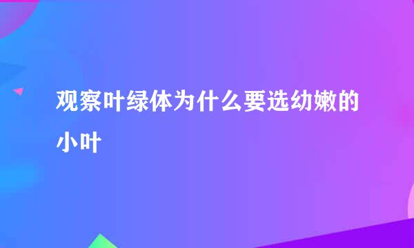 观察叶绿体为什么要选幼嫩的小叶