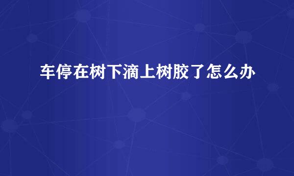 车停在树下滴上树胶了怎么办
