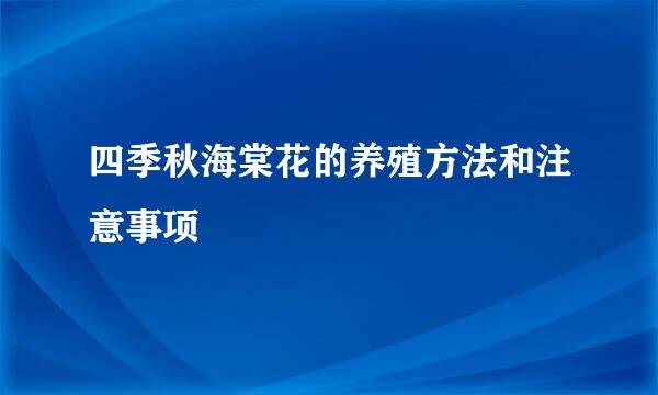 四季秋海棠花的养殖方法和注意事项
