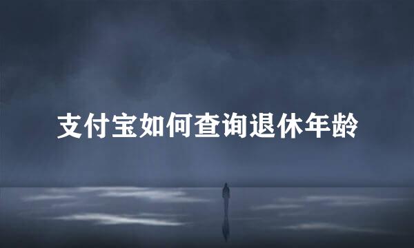 支付宝如何查询退休年龄