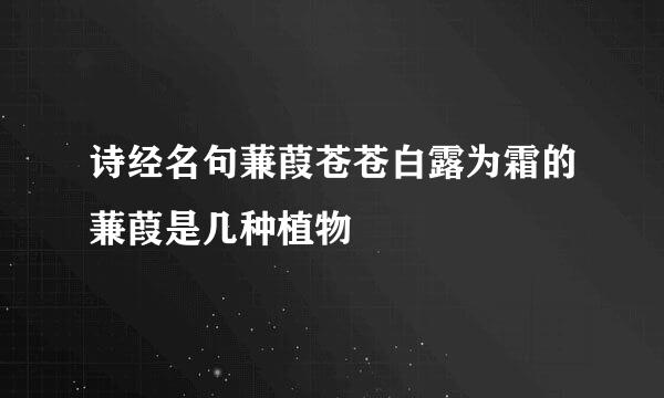 诗经名句蒹葭苍苍白露为霜的蒹葭是几种植物