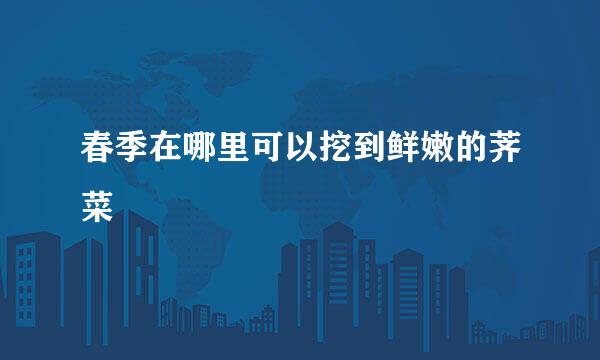 春季在哪里可以挖到鲜嫩的荠菜