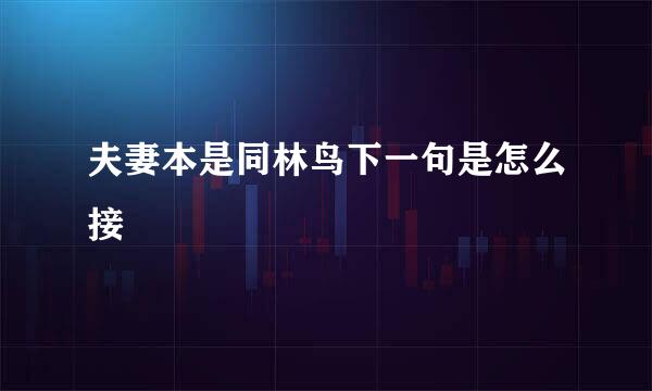 夫妻本是同林鸟下一句是怎么接
