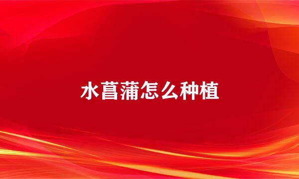 水菖蒲怎么种植