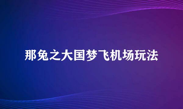 那兔之大国梦飞机场玩法