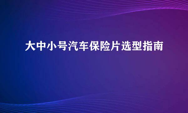 大中小号汽车保险片选型指南