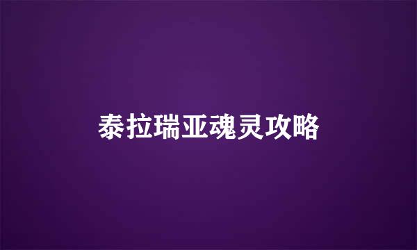 泰拉瑞亚魂灵攻略