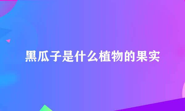黑瓜子是什么植物的果实
