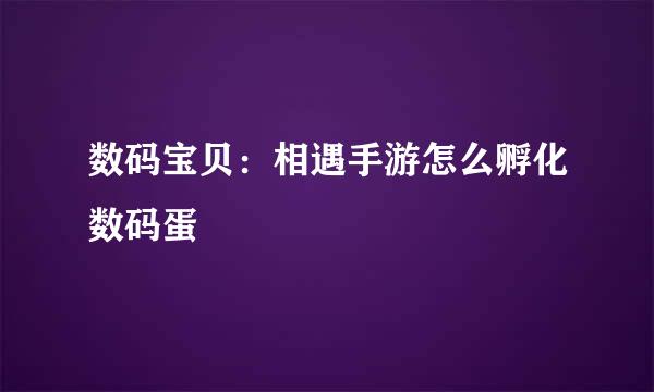 数码宝贝：相遇手游怎么孵化数码蛋