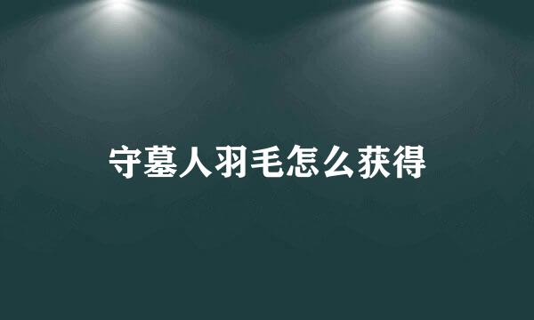 守墓人羽毛怎么获得