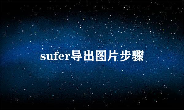 sufer导出图片步骤