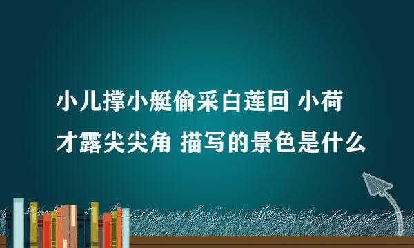 小儿撑小艇偷采白莲回 小荷才露尖尖角 描写的景色是什么