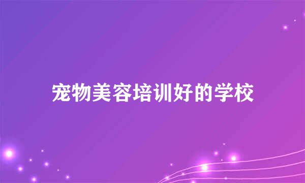 宠物美容培训好的学校