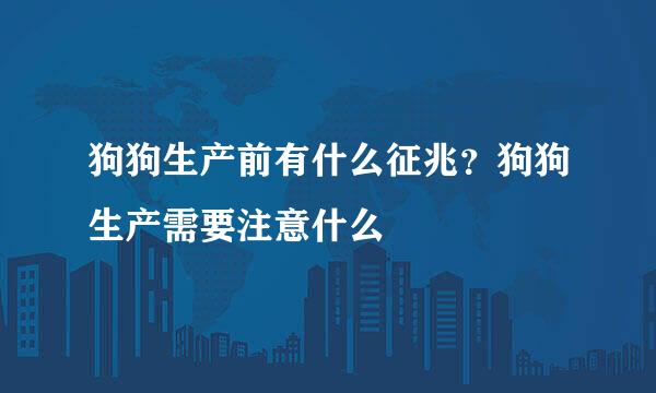 狗狗生产前有什么征兆？狗狗生产需要注意什么
