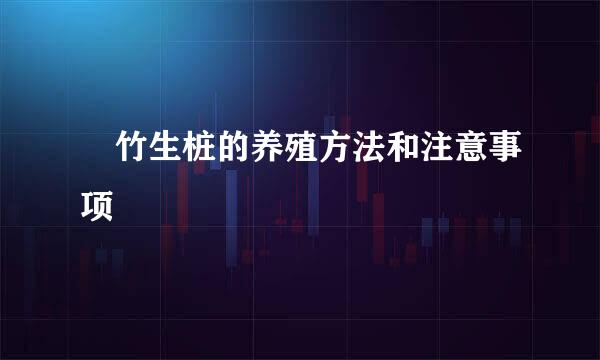簕竹生桩的养殖方法和注意事项