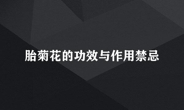 胎菊花的功效与作用禁忌