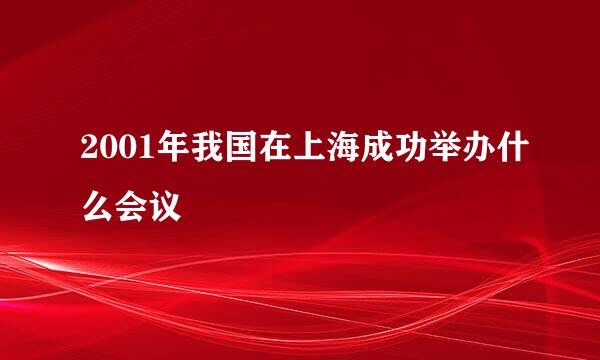 2001年我国在上海成功举办什么会议