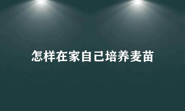 怎样在家自己培养麦苗