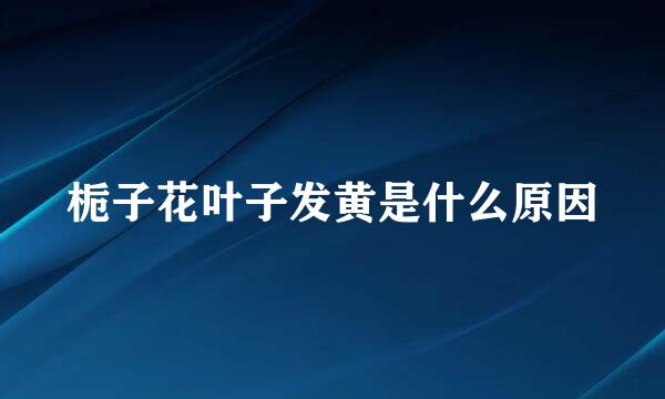栀子花叶子发黄是什么原因