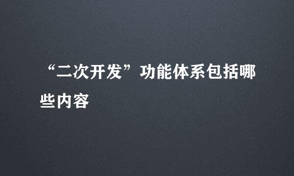 “二次开发”功能体系包括哪些内容