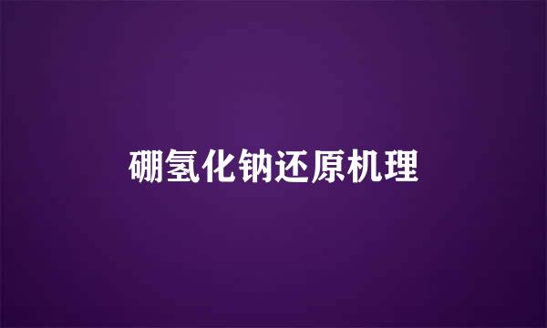硼氢化钠还原机理