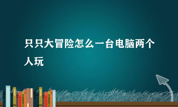 只只大冒险怎么一台电脑两个人玩