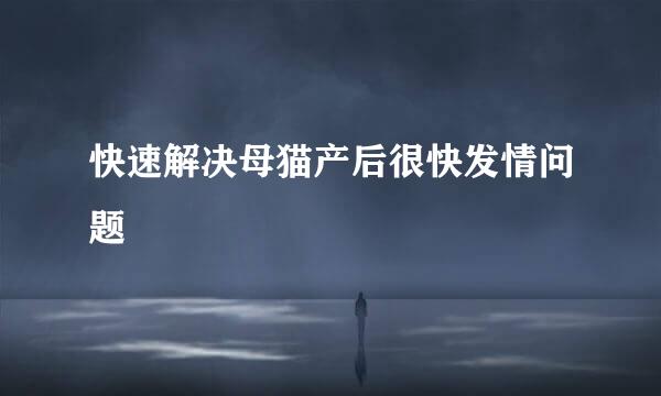 快速解决母猫产后很快发情问题