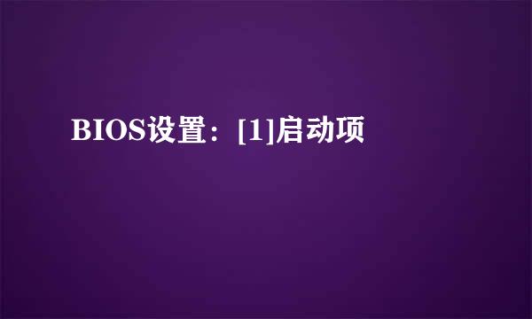 BIOS设置：[1]启动项