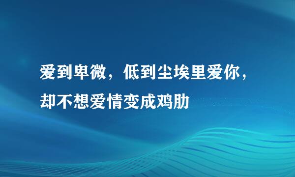 爱到卑微，低到尘埃里爱你，却不想爱情变成鸡肋