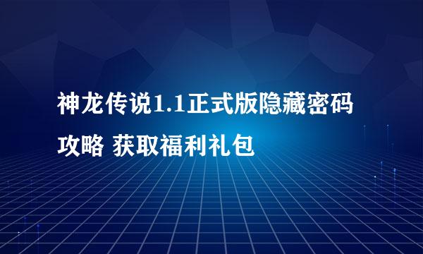 神龙传说1.1正式版隐藏密码攻略 获取福利礼包