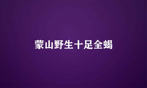 蒙山野生十足全蝎