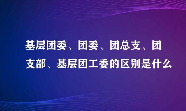 基层团委、团委、团总支、团支部、基层团工委的区别是什么