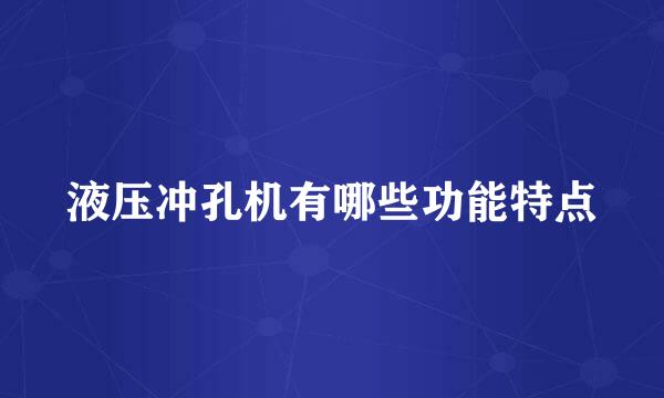 液压冲孔机有哪些功能特点