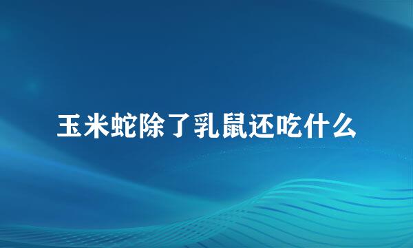 玉米蛇除了乳鼠还吃什么