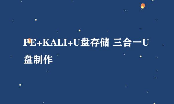 PE+KALI+U盘存储 三合一U盘制作