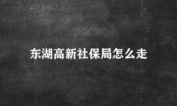 东湖高新社保局怎么走