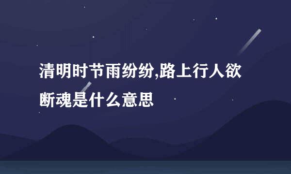 清明时节雨纷纷,路上行人欲断魂是什么意思