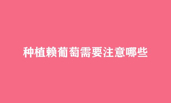 种植赖葡萄需要注意哪些