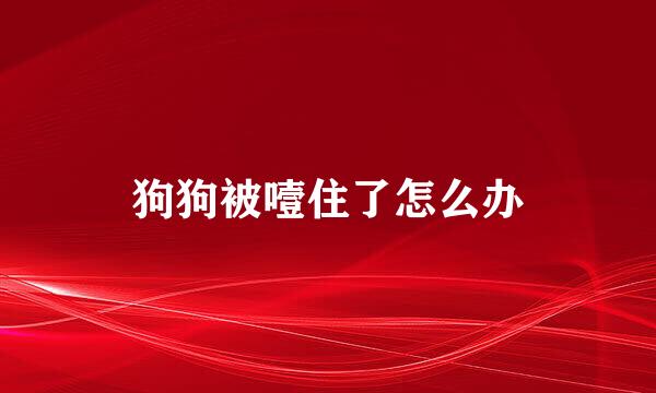 狗狗被噎住了怎么办