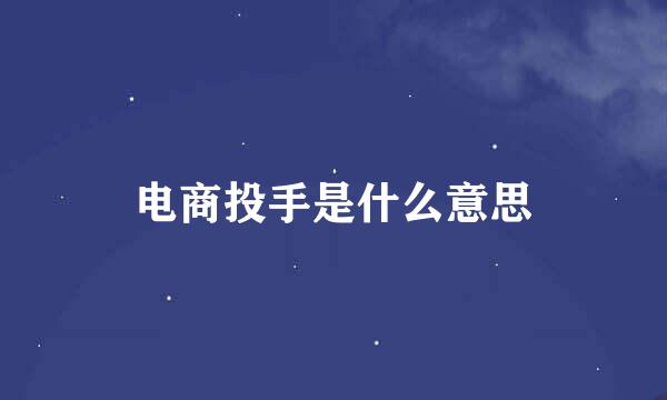 电商投手是什么意思
