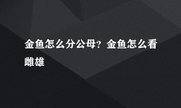 金鱼怎么分公母？金鱼怎么看雌雄