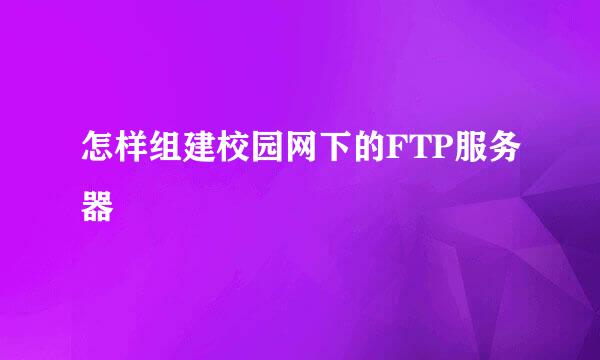 怎样组建校园网下的FTP服务器