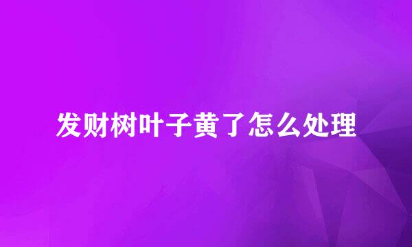 发财树叶子黄了怎么处理
