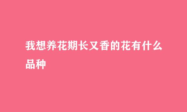 我想养花期长又香的花有什么品种