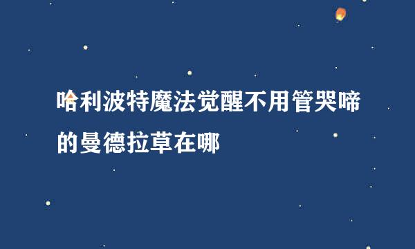 哈利波特魔法觉醒不用管哭啼的曼德拉草在哪
