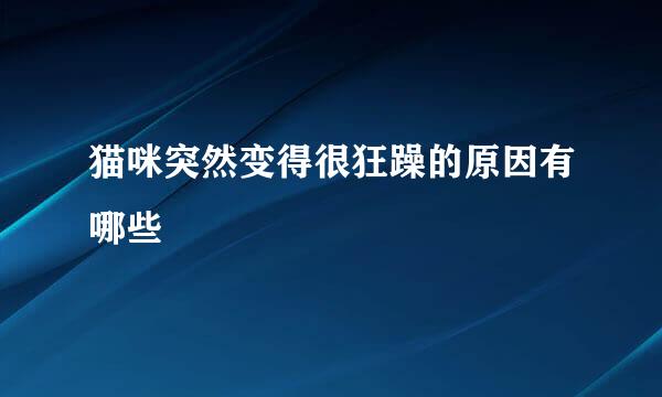猫咪突然变得很狂躁的原因有哪些