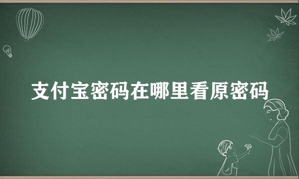 支付宝密码在哪里看原密码